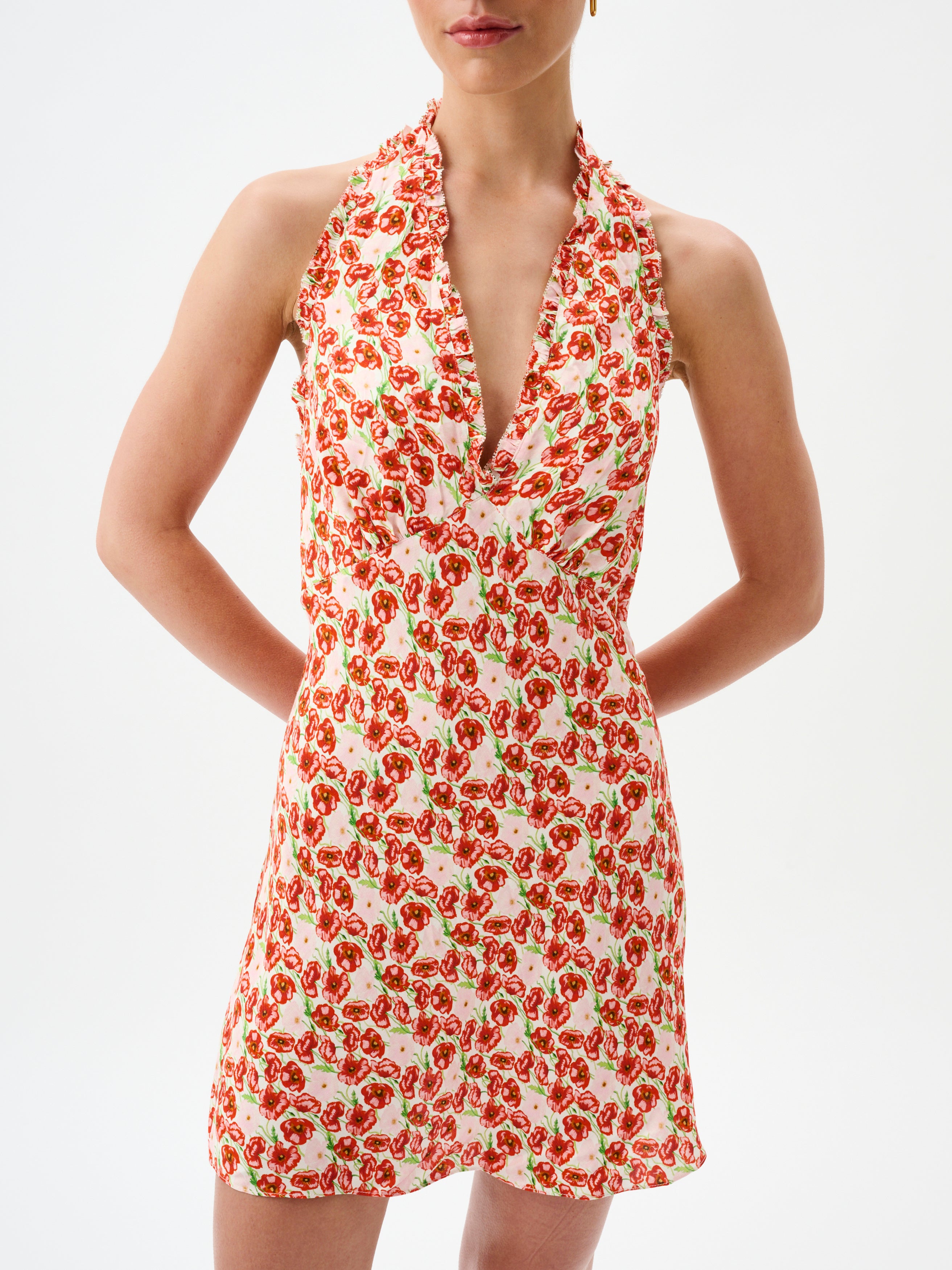 MADELEINE DRESS | FIELDS OF POPPY